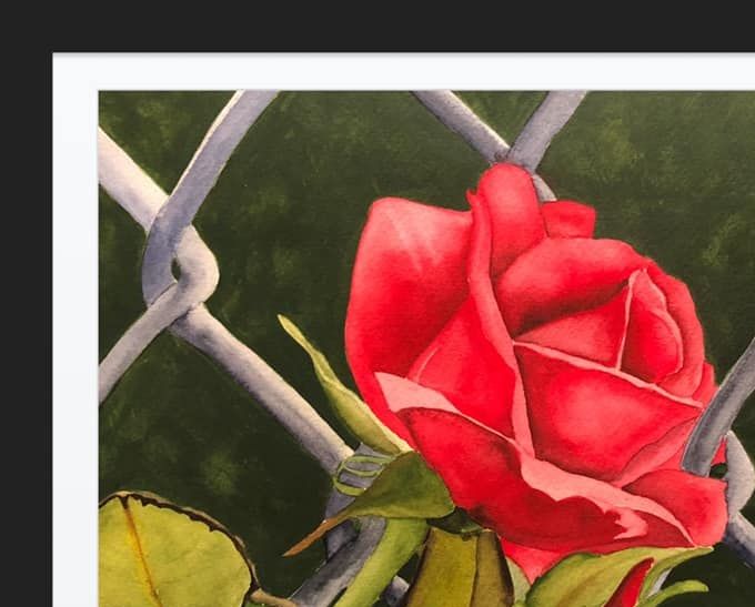 Rose str 30x40