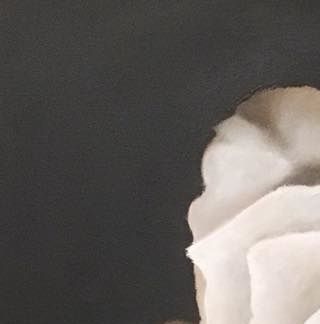 Rose str 50x50